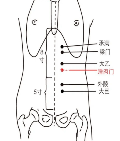 滑肉门 上腹部