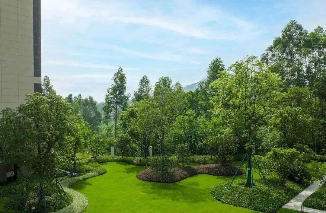 以草坪与规整的灌木,地被为主,搭配林荫大树造景,力求运用简约的植物