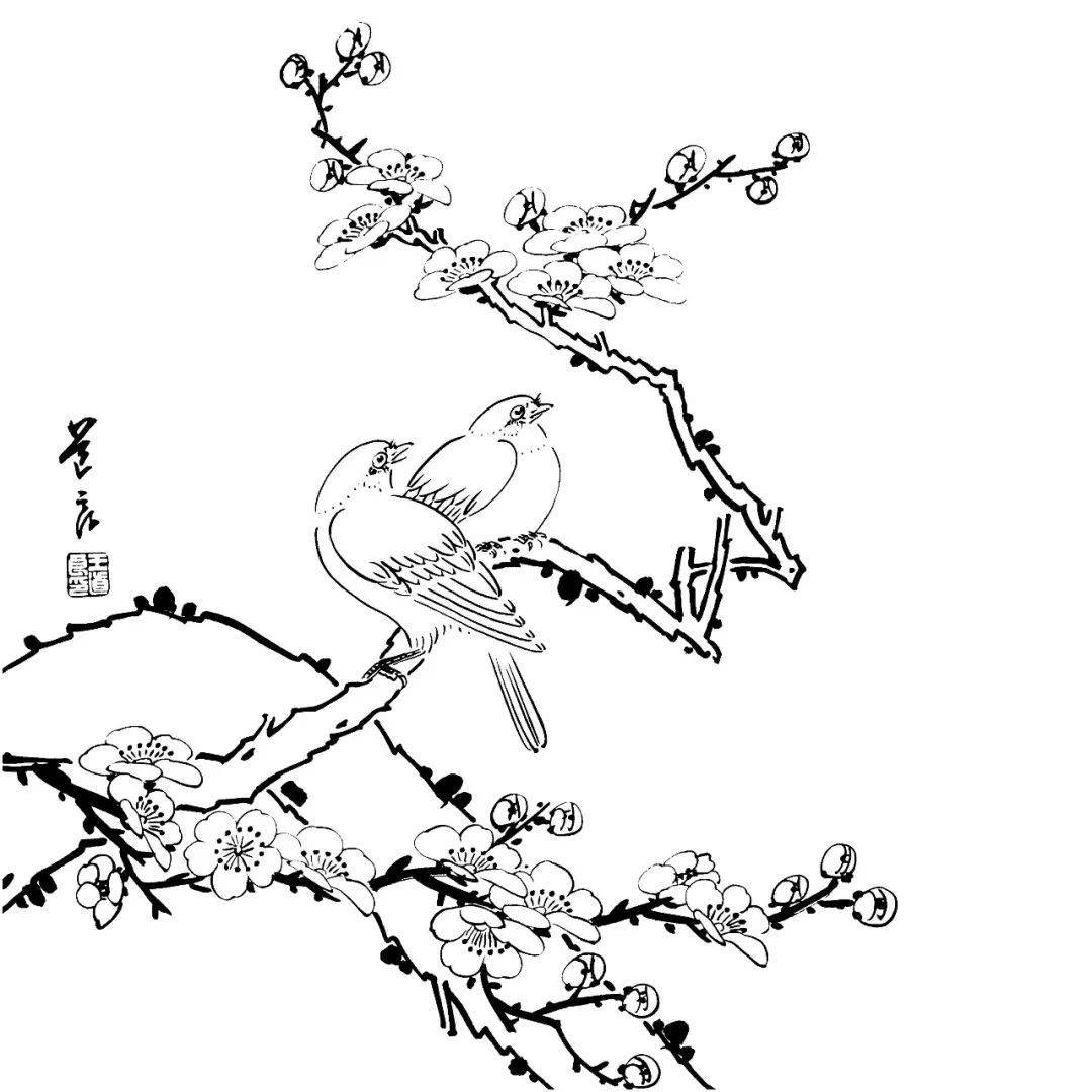 工笔花鸟白描素材，喜好保藏！！！