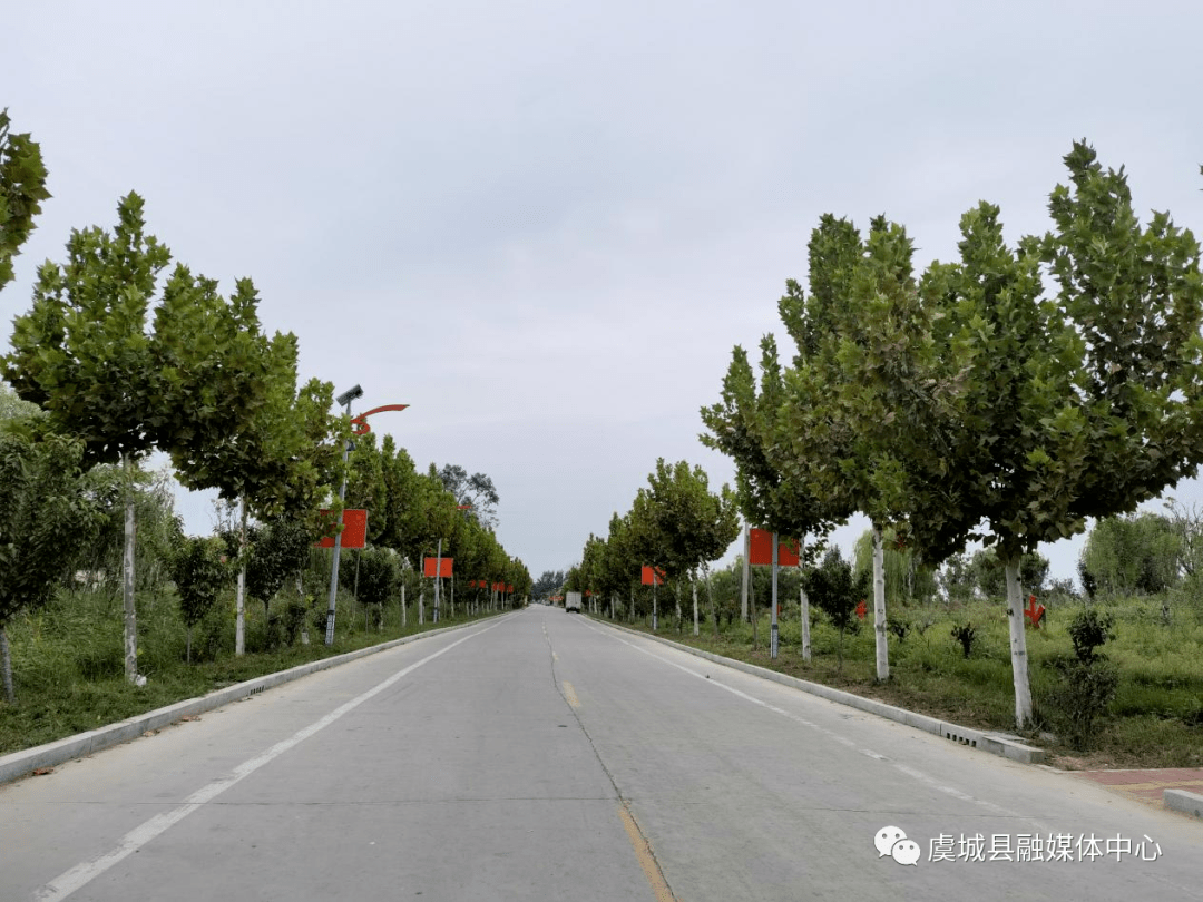 刘店乡谱写高质量发展新篇章_乡村_群众_活动