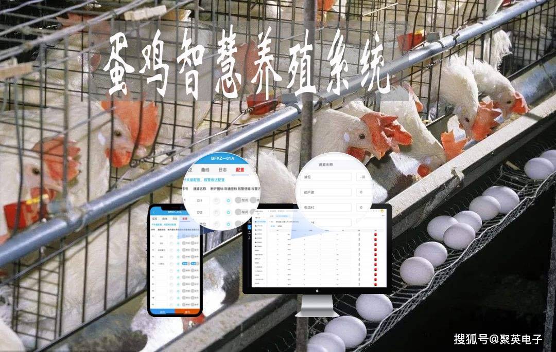 高温天气下高效管理养鸡场,智慧养殖系统,定时通风降温_智能_温度