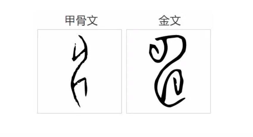 比亚迪新品牌logo发布!以甲骨文"电"字为原型.