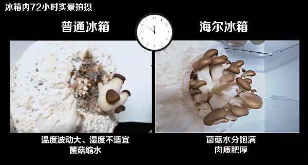 海尔冰箱：为用户的新鲜生活持续挑战自我-家电圈官网