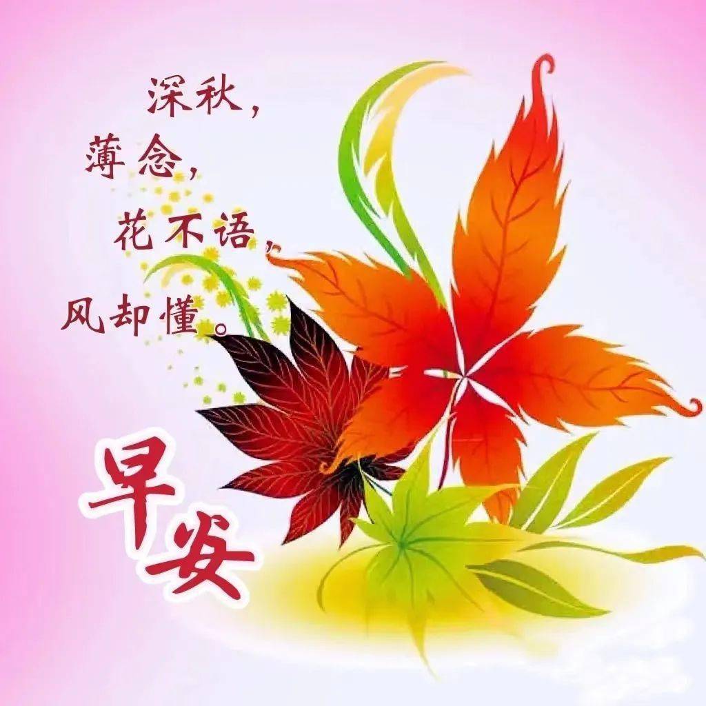 早上好漂亮的早安图片带祝福语