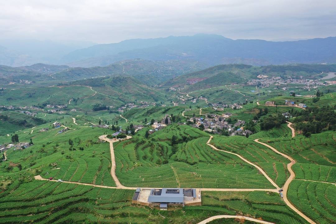 村苹果园卫星图会理鹿厂镇铜矿村石榴园卫星图安宁河谷卫星图从1952年