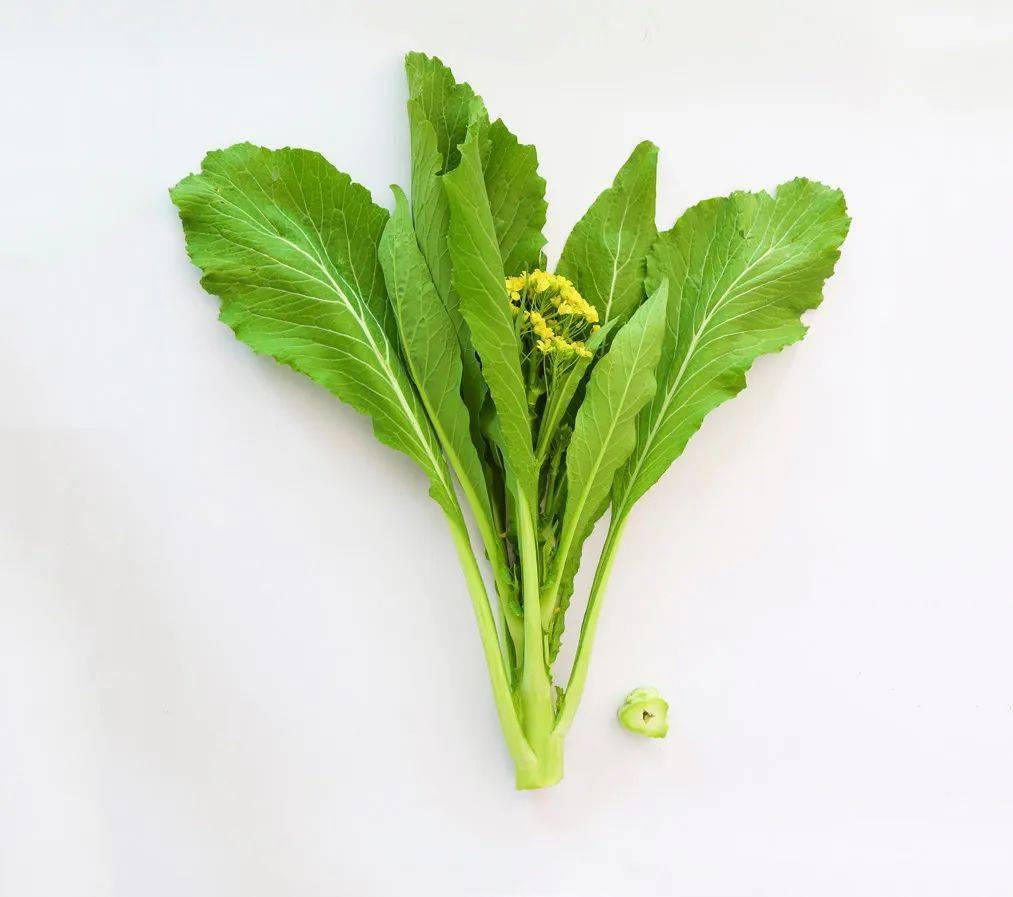 中花芥兰盐步秋茄耙齿萝卜鹤斗白菜上下滑动有惊喜在老广味蔬菜区里