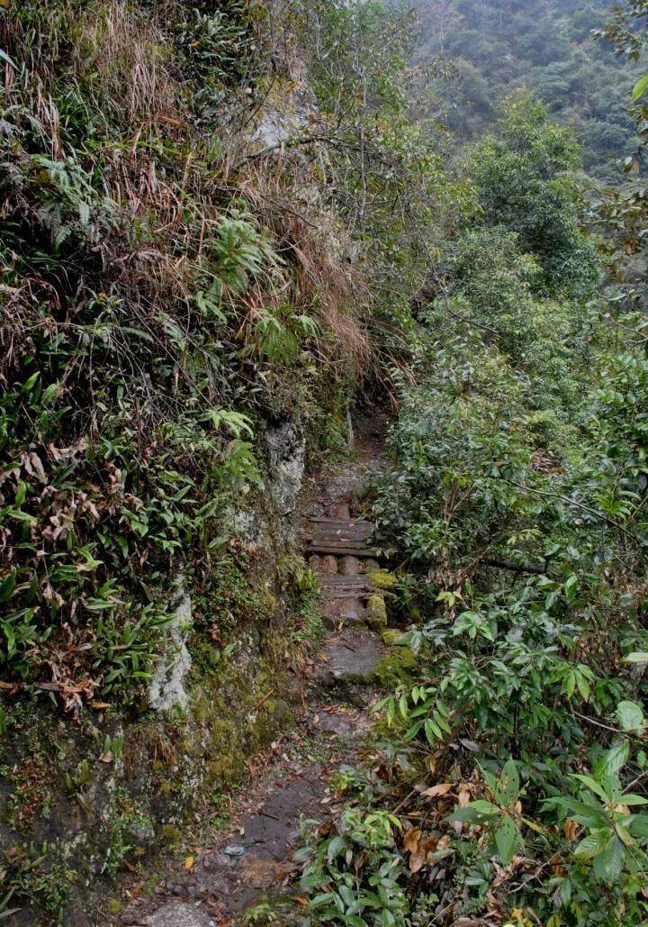 遂川热水洲,河滩上的野温泉您泡过没有_生活_天气_健身