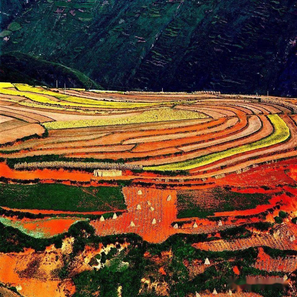 东川红土地,神笔绘锦绣