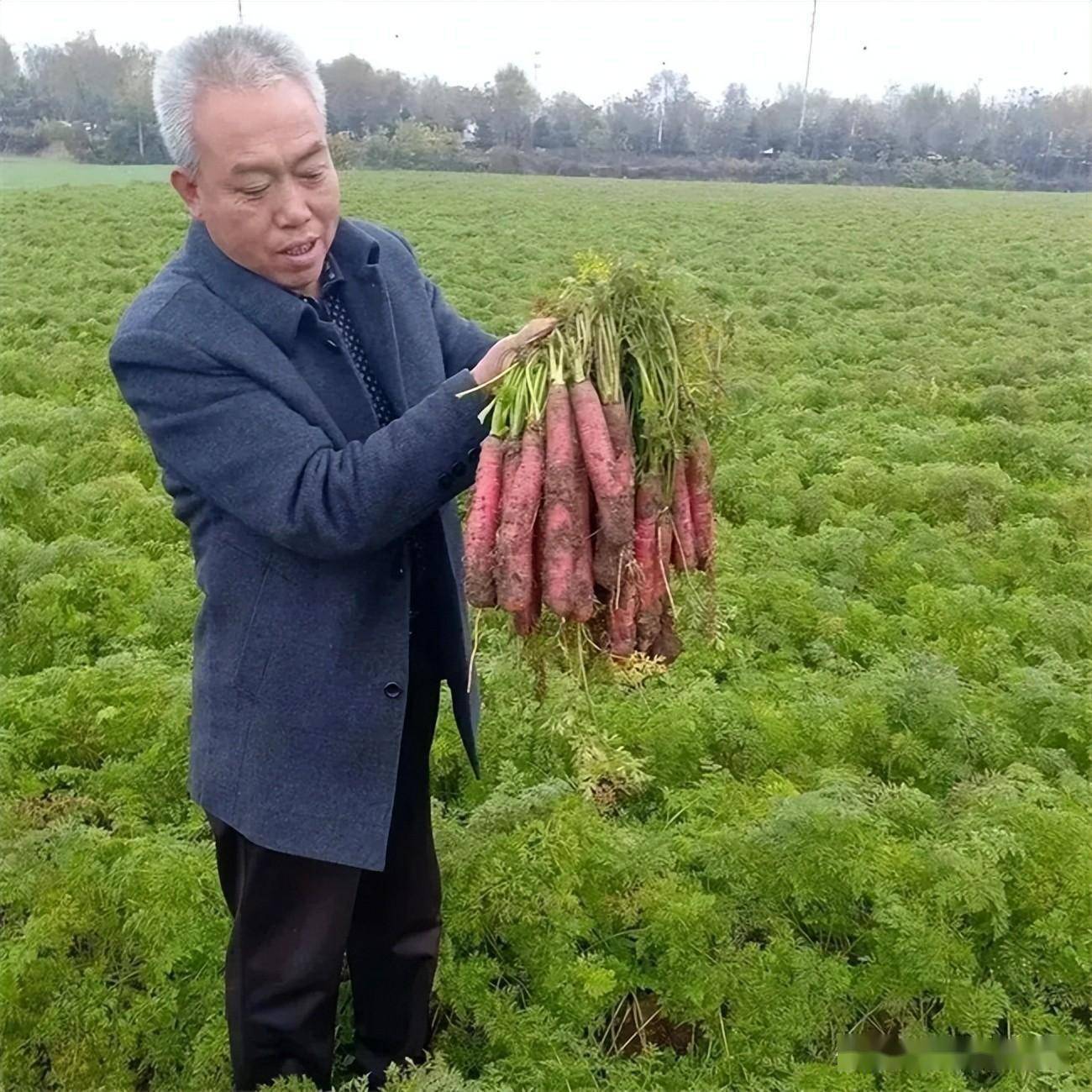 鸡泽县亭子头村图片