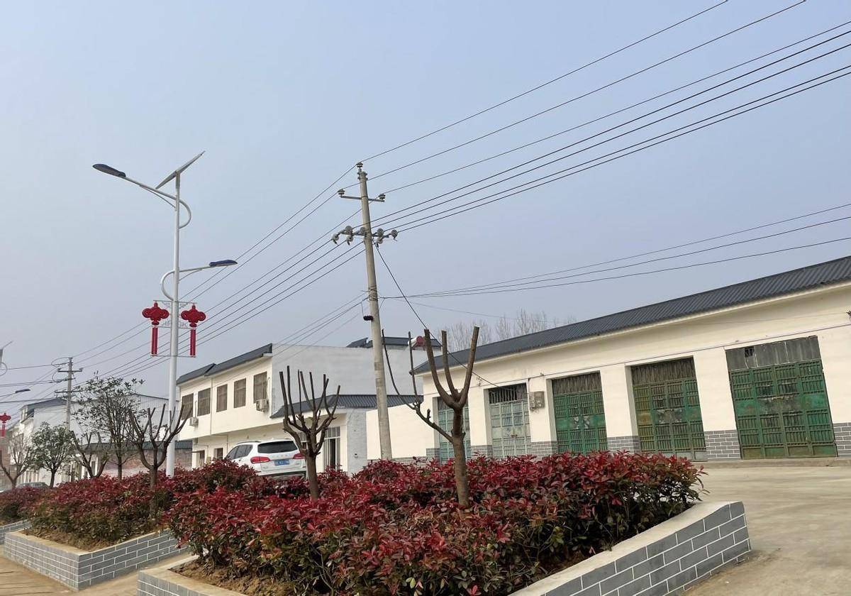 桐柏县吴城镇:全民参与环境卫生整治 持续打造生态宜居吴城_工作_进行