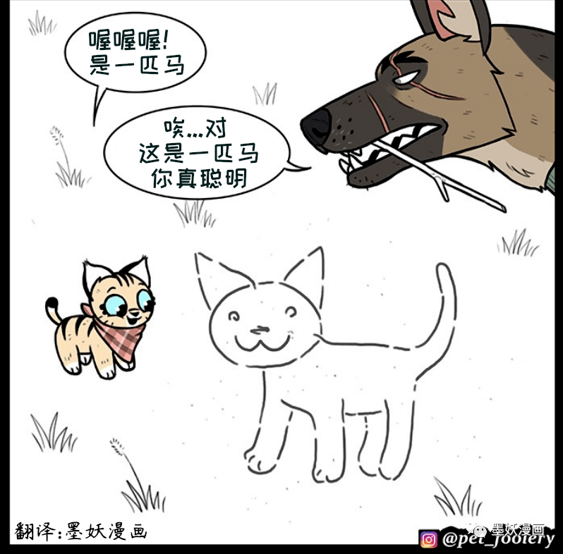 你画我猜