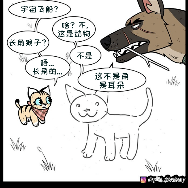 你画我猜