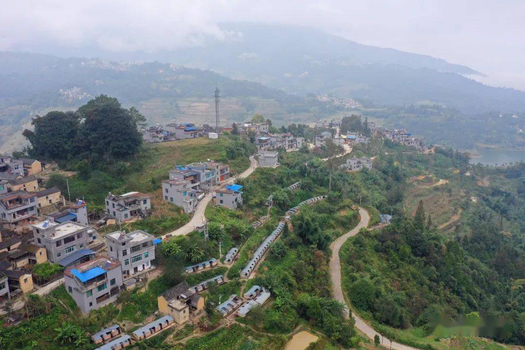 近年来,红河县宝华镇紧扣红河谷热区经济发展规划,依托当地区位优势