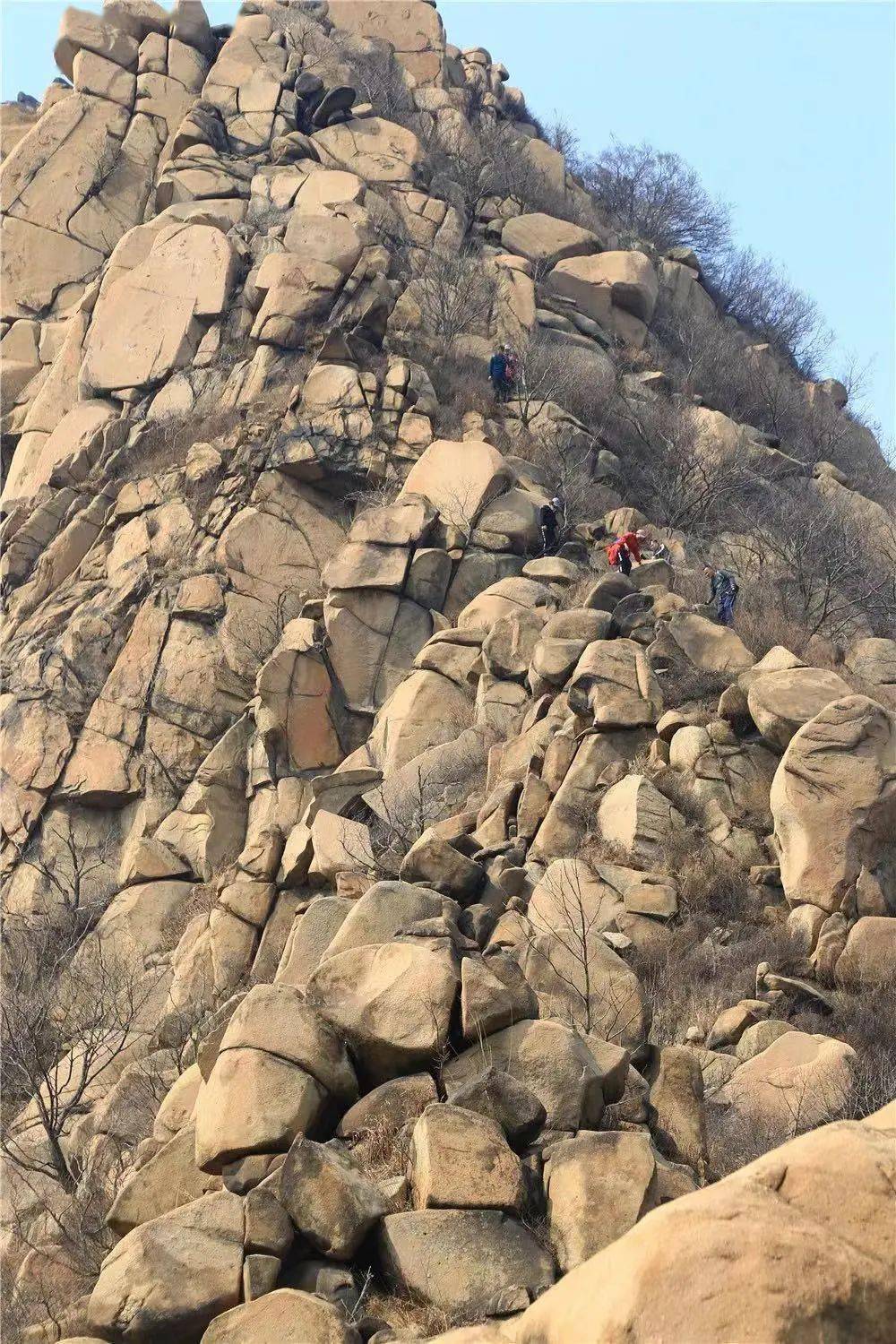 徒步山东|泰山区 路线7 新甫山_新泰_莲花_海拔