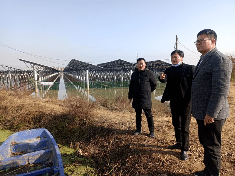 林锋走访了余干县洪家嘴乡,三塘乡,江埠乡多个渔业生产基地,详细了解