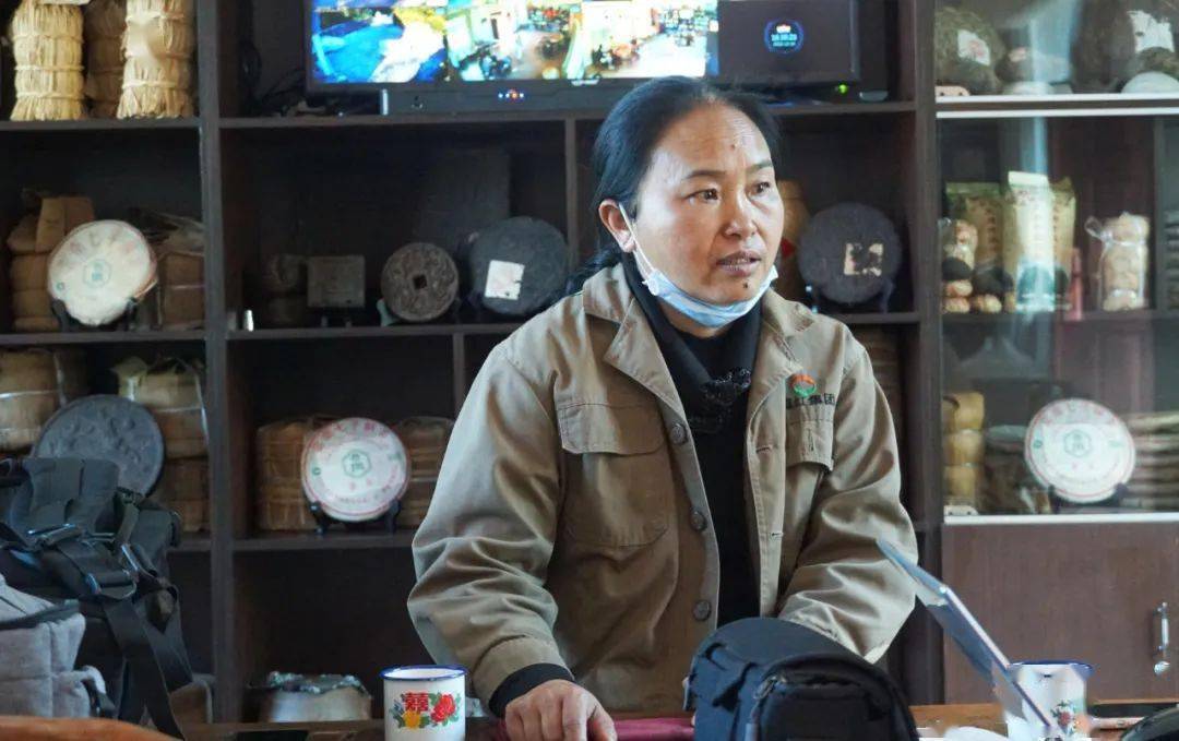 凤庆茶山里八十载的初心依旧_滇红_茶叶_云南省
