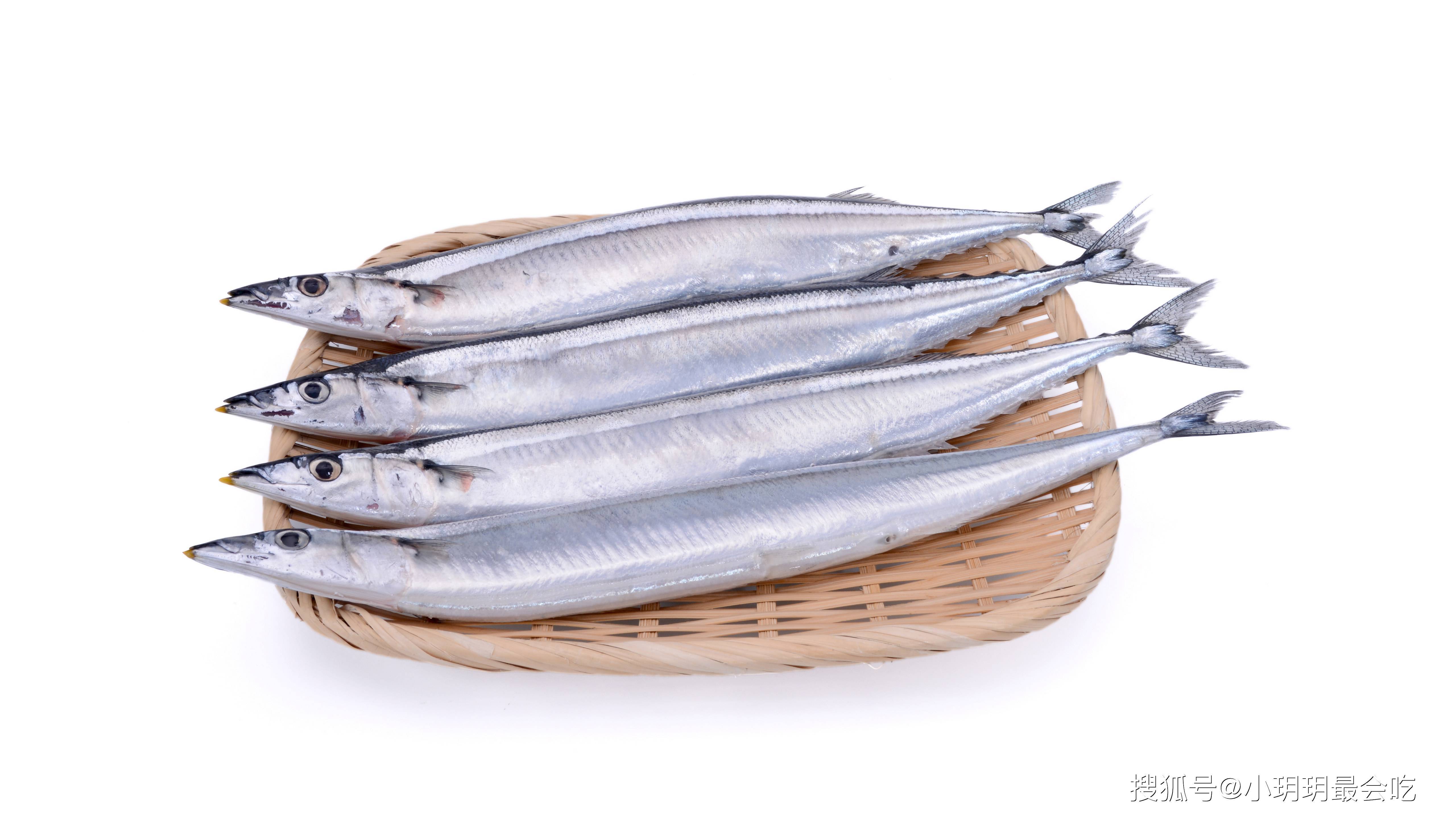 秋刀鱼深受日本人热爱,在中国却无人问津?原因很现实_吃法_鱼肉_好处
