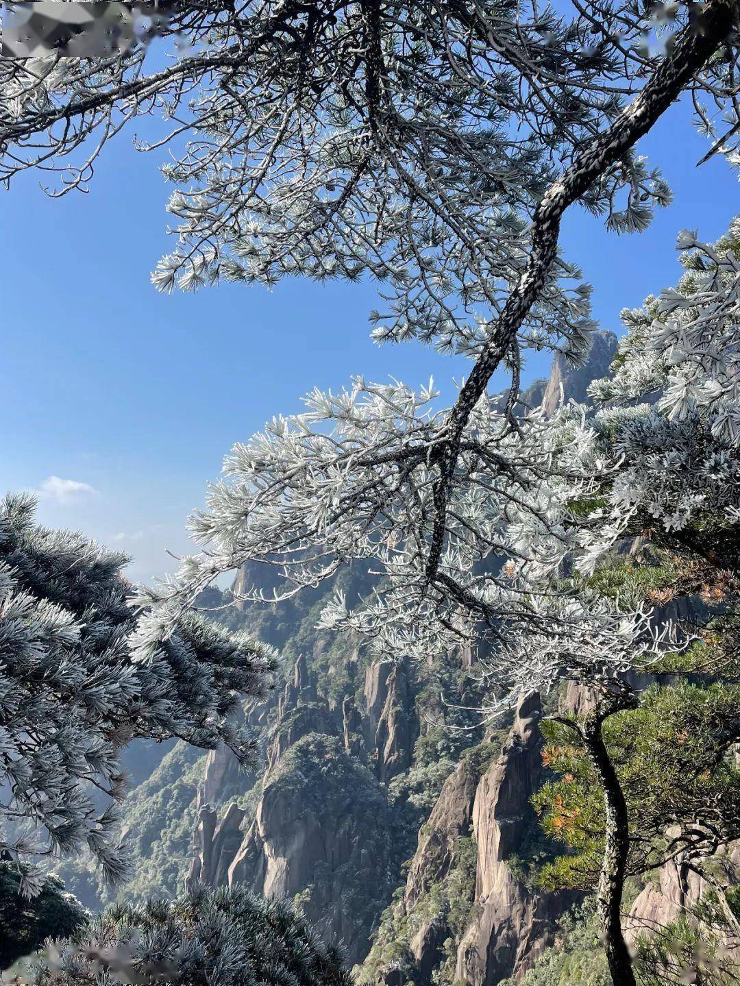 上饶三清山雪景图片