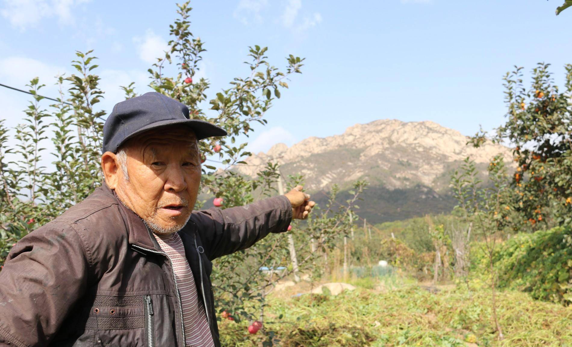 杨市镇七甲村图片