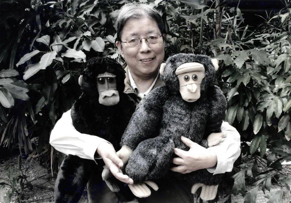 悼念|作家西西离世享寿85岁_香港_作品_艺术发