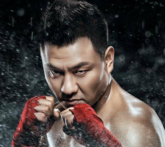 盘点中国功夫明星实力排行榜,吴京,成龙为何没有资格进入榜单?