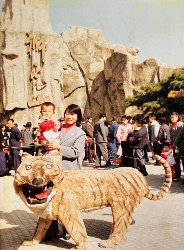 我與獅虎山的圖片故事分享(三)_動物園_工作_照片