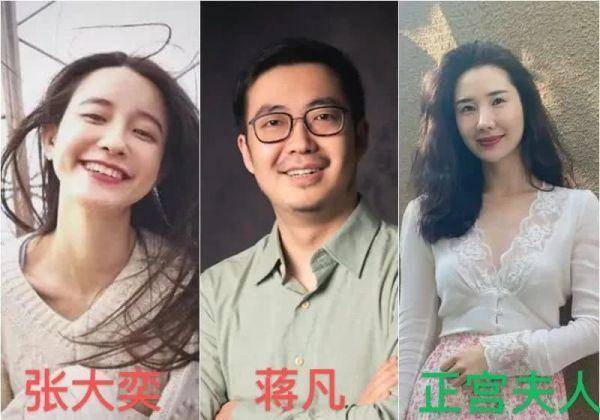 细思极恐,蒋凡和张大奕的回应里暗藏玄机_公司_调查_阿里