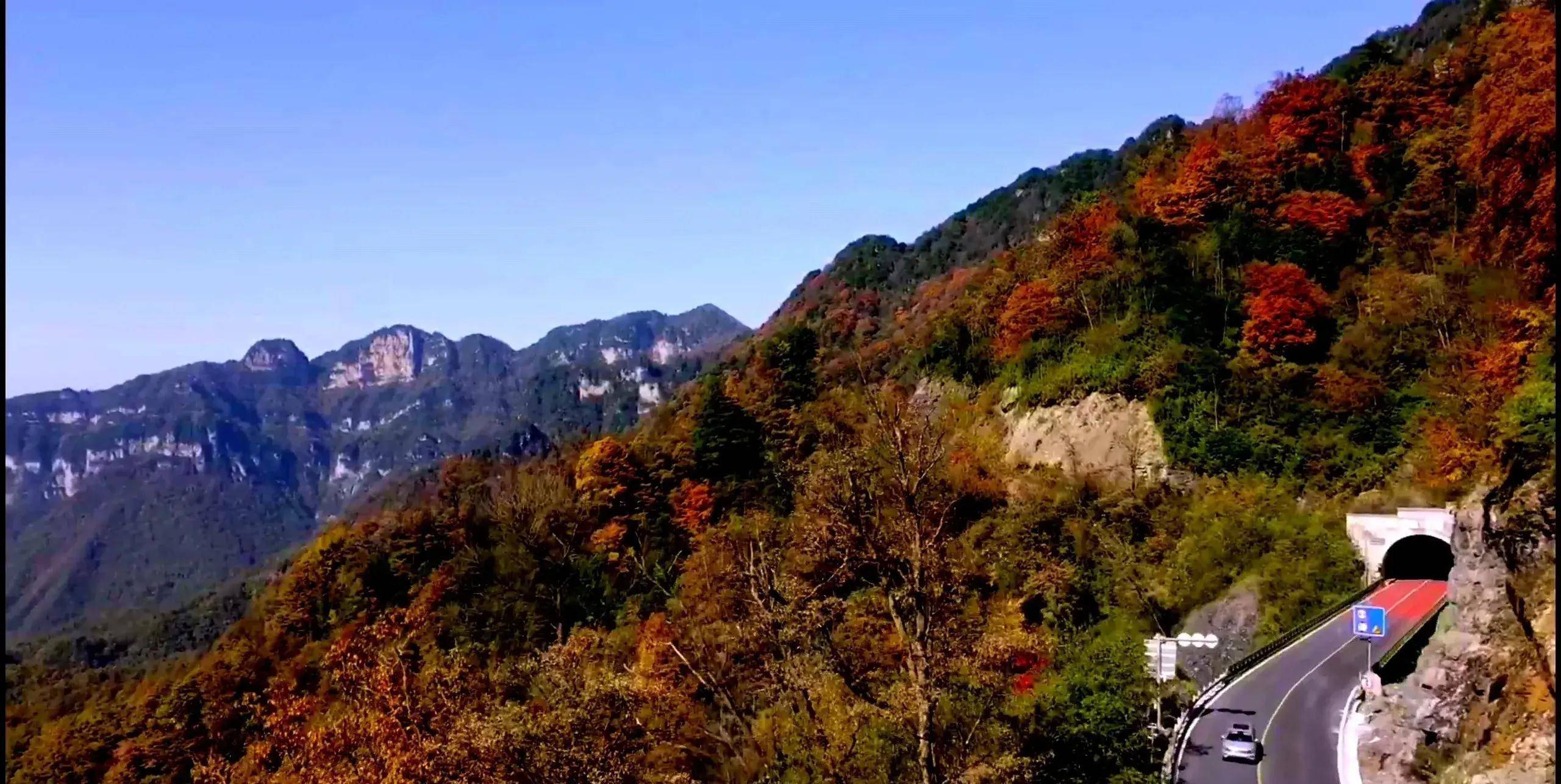 神农架,在这里遇见中国最美秋天