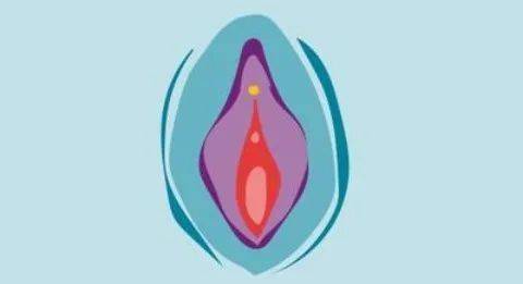 确定是否存在阴唇肥大,不对称等情况三是通过专业医生的检查,二是骑