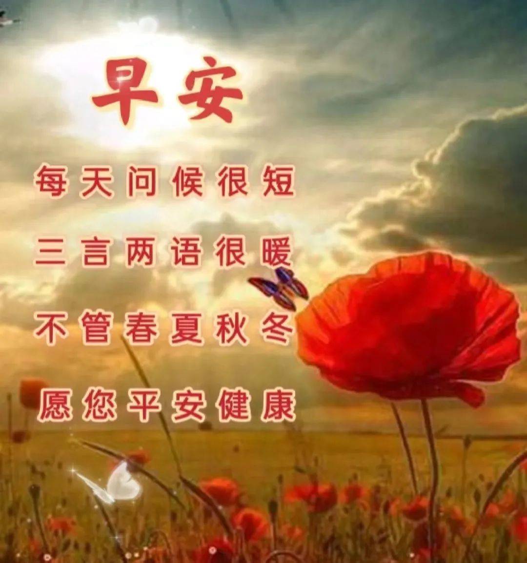 12月21日周三早上好,精选早安群发祝福图片带字带暖心的问候