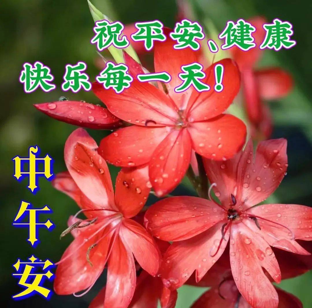 12月21日週三早上好,精選早安群發祝福圖片帶字帶暖心的問候_平安