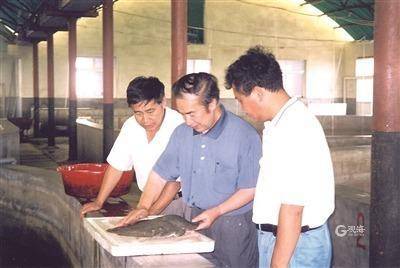 引种30年,多宝鱼在中国"育"成大产业_雷霁霖_养殖_鱼苗