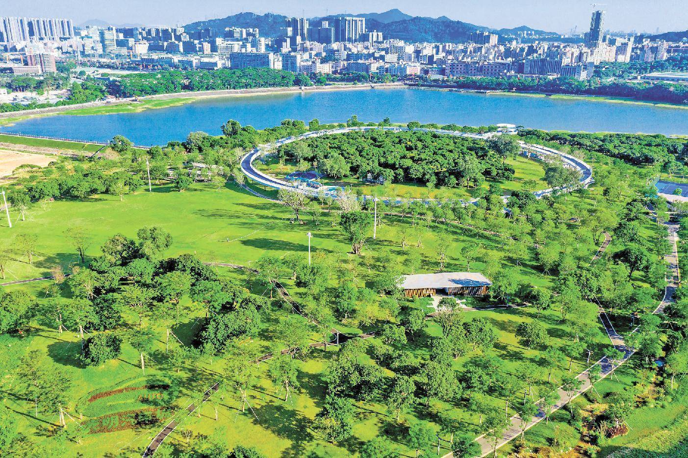 人民日报:深圳让市民共享绿色空间_建设_公园_城市