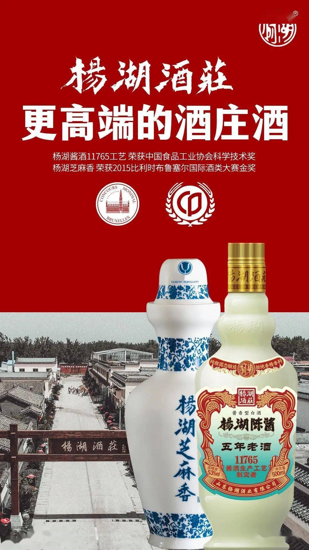 菏泽杨湖酒全系价格表图片