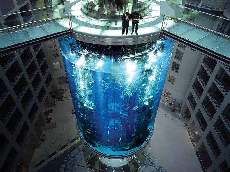 世界上最大的圆柱形水族馆炸了,这玻璃还靠得住吗?_苹果_设计_风格