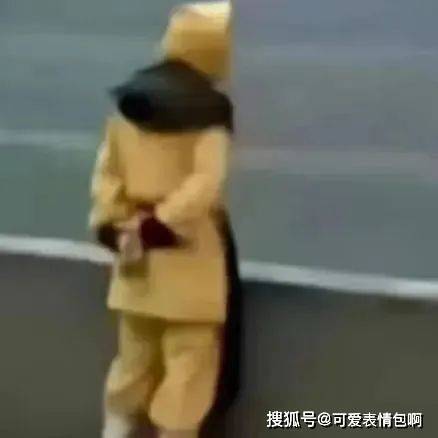 宝娟 我的嗓子 |孙悟空背手看海表情包_的图片_侵权_版权