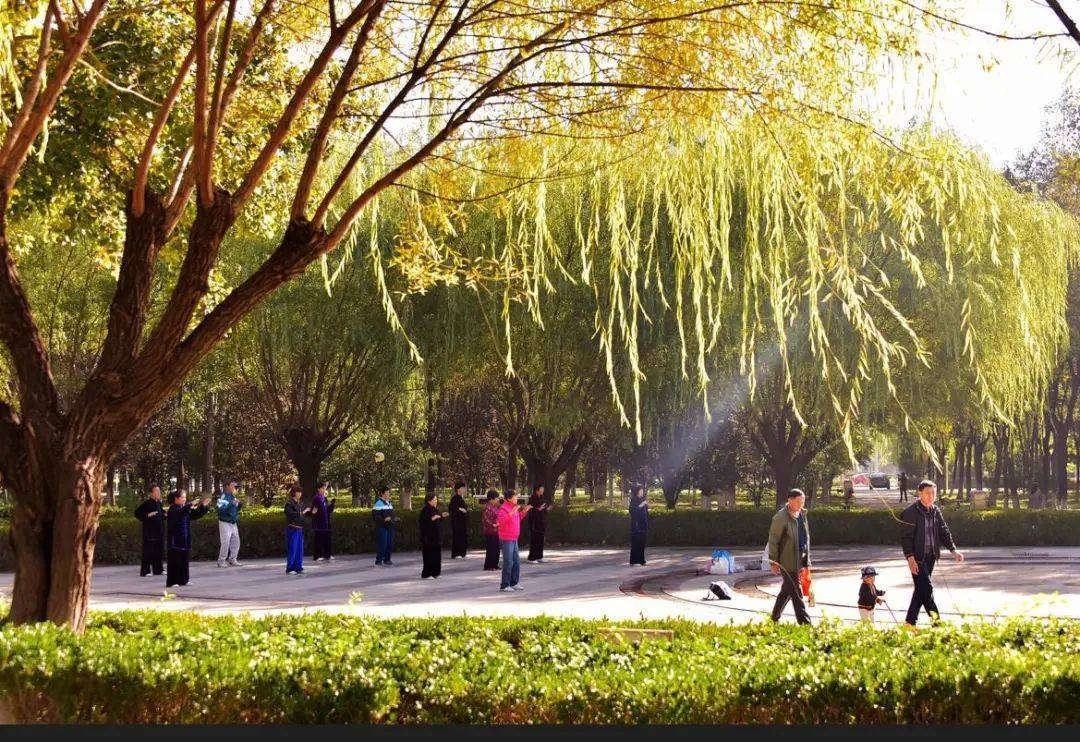 顺义这22年的老广场,要改造了!_公园_世纪_功能