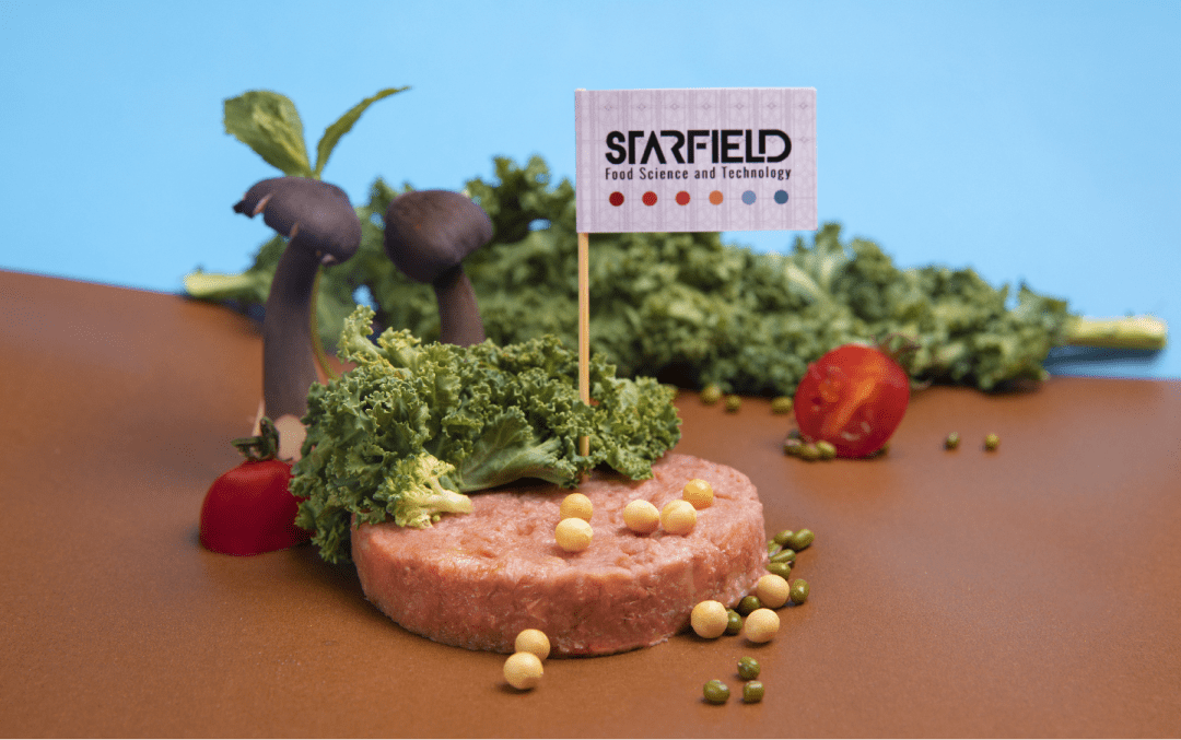 与新能源齐名的植物肉,减碳效果如何?_产品_中国_kg