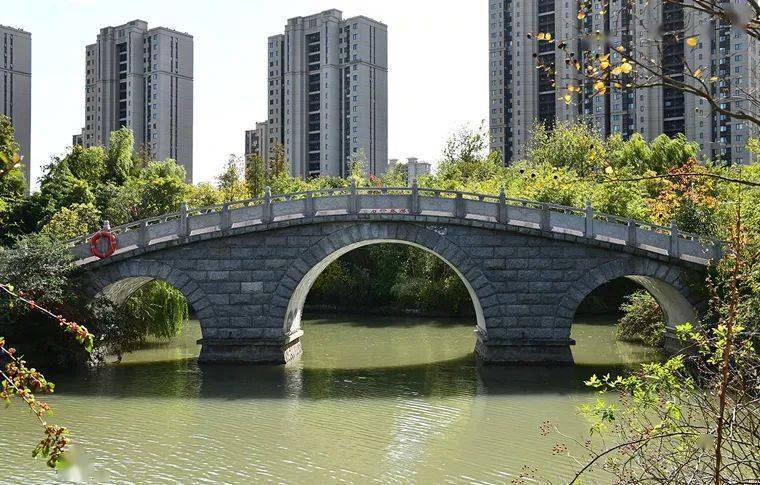 來鹽城世紀公園,欣賞與眾不同的風景(7)_地方_草地_果實