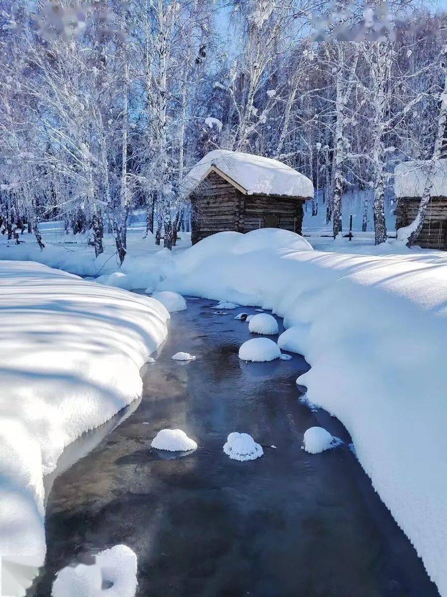 林间雪颜色图片