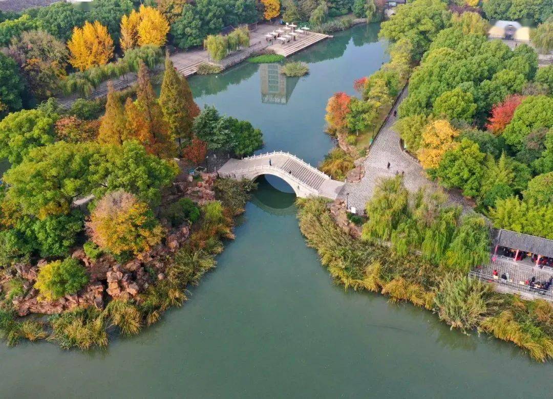 初冬时节,巢湖这里景色如画_公园_红杉_湿地