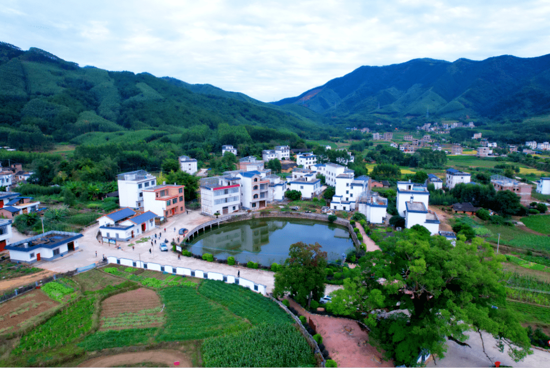 你的家也是这样的吗?_八步区_莲塘镇_工作