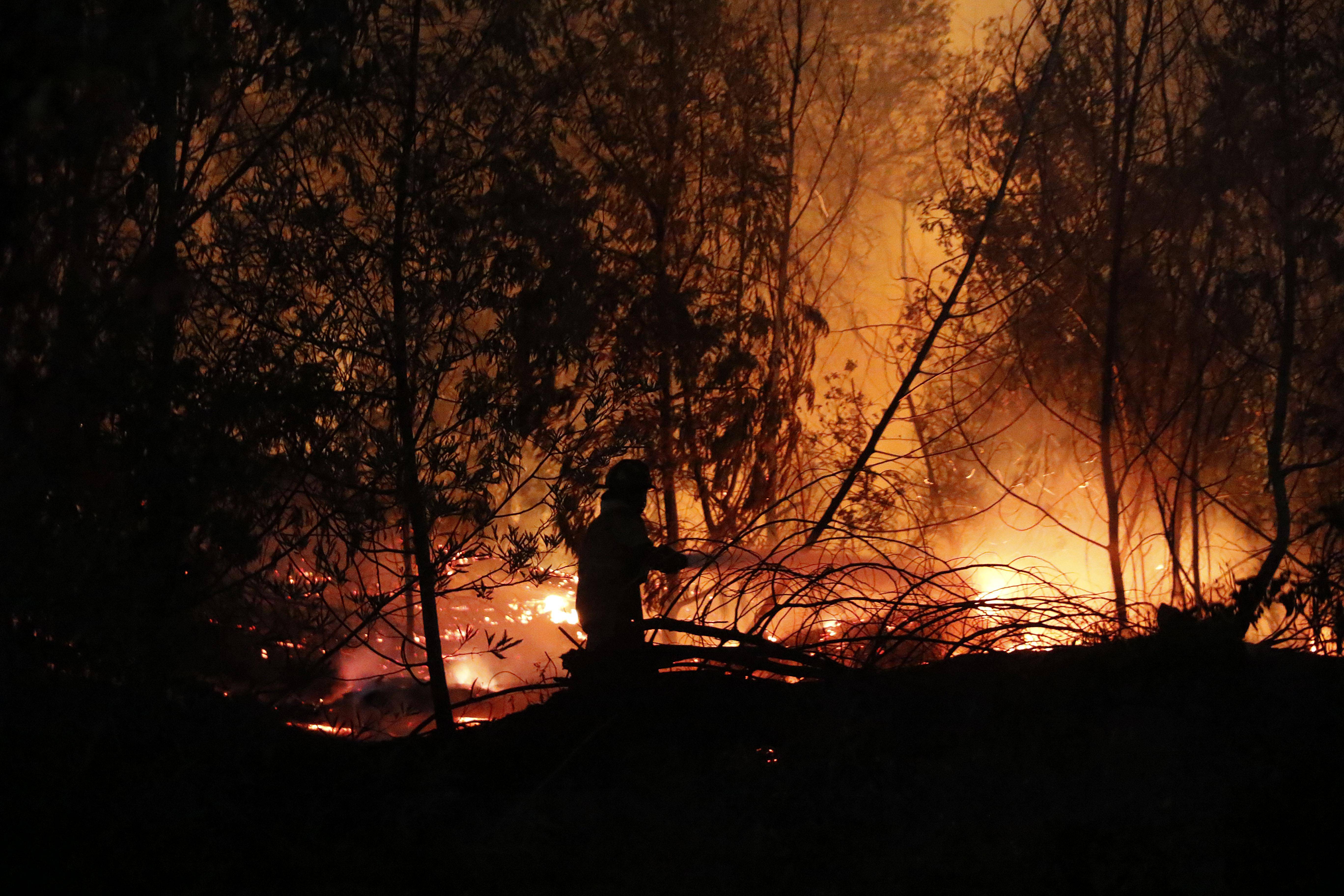 3·13智利森林火灾图片