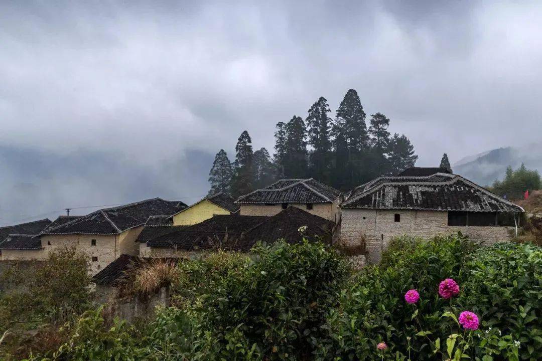 丽水私藏小众美村,景美人少空气好_西溪村_溪流_历史