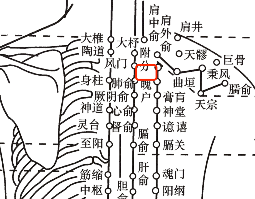 (三)马丹阳十二针