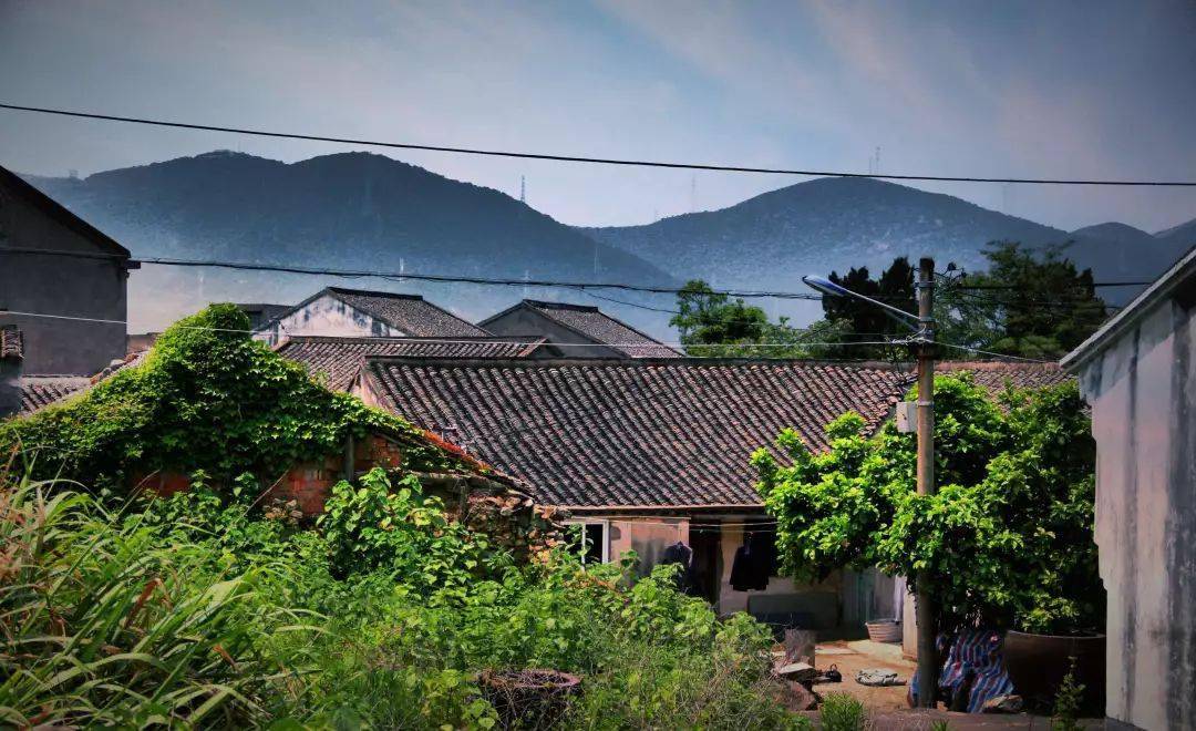 "展茅街道黄杨尖村""东极镇东极村",入选浙江省第二批未来乡村_普陀