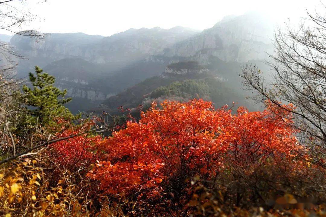 云览阳泉 | 燕子崖_群山_盂县_侵权