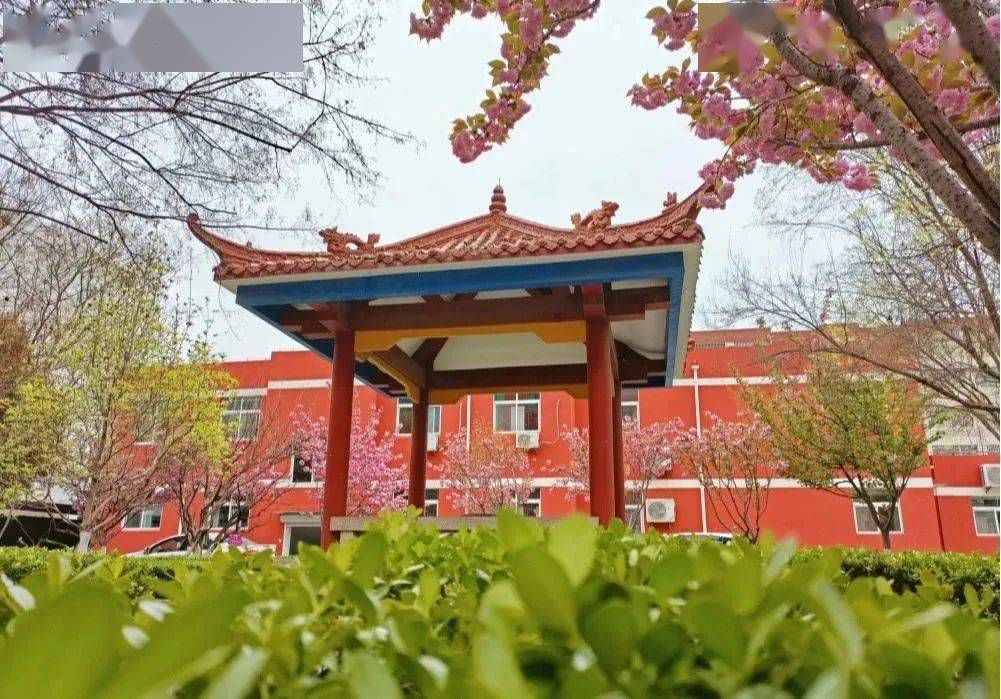 【喜 报】平阴县龙山小学获评"山东省绿色学校"