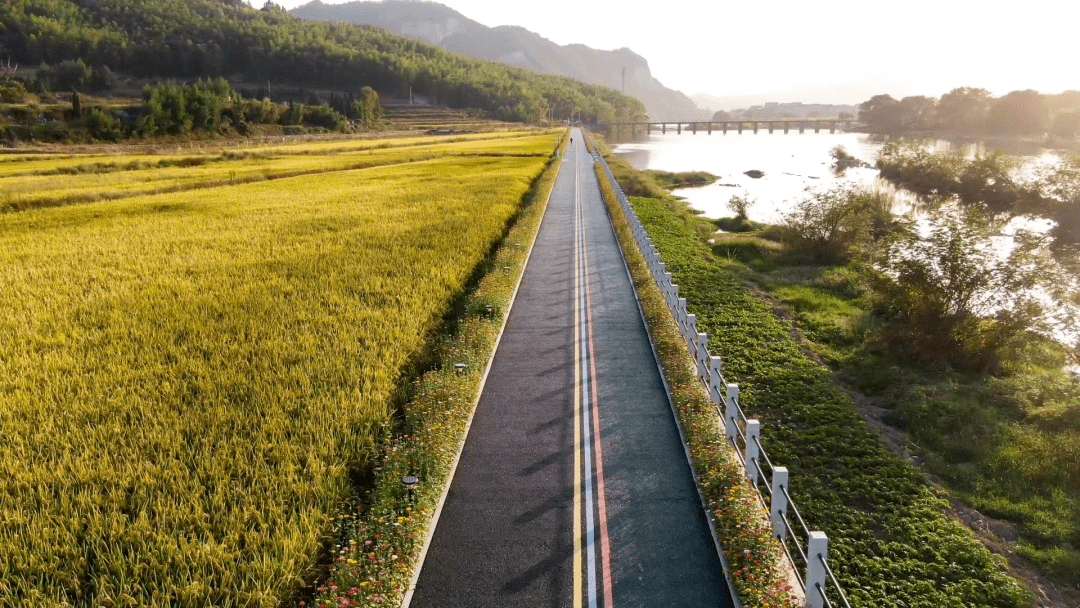 东方镇成功创建美丽城镇省级样板!_项目_发展_特色