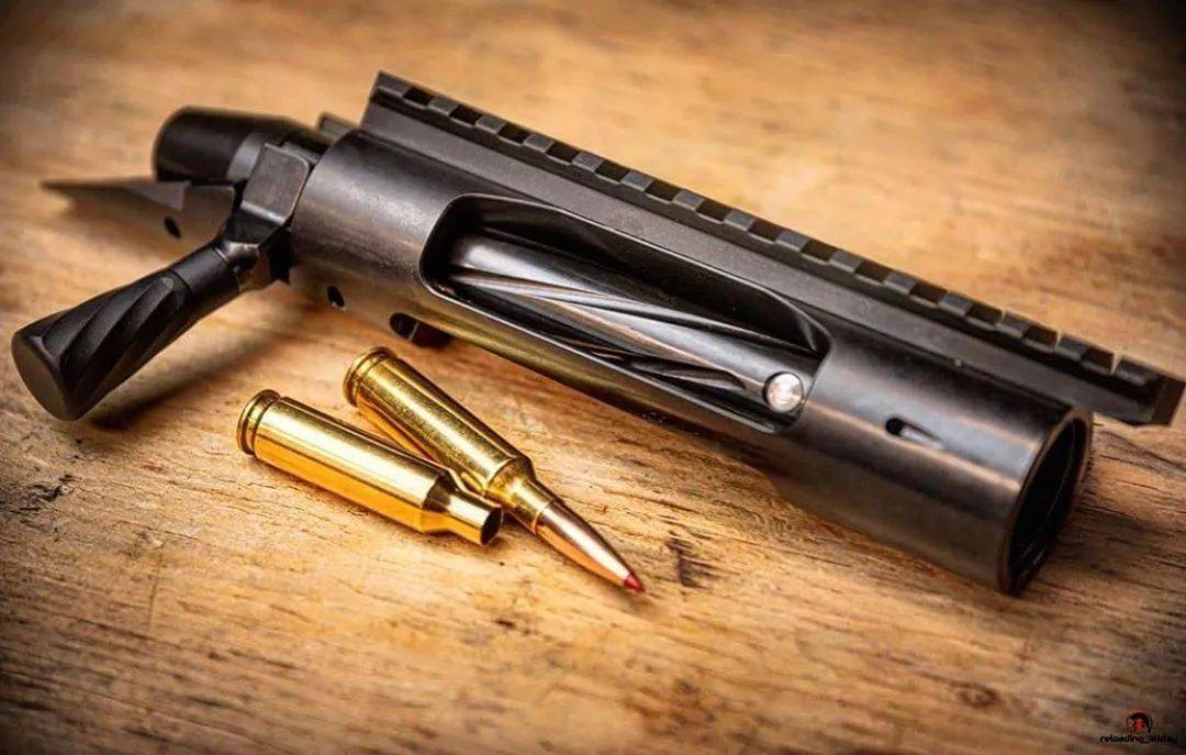 【家防 复装 精射样样精通】走高端路线的hornady子弹图集_视频_军事